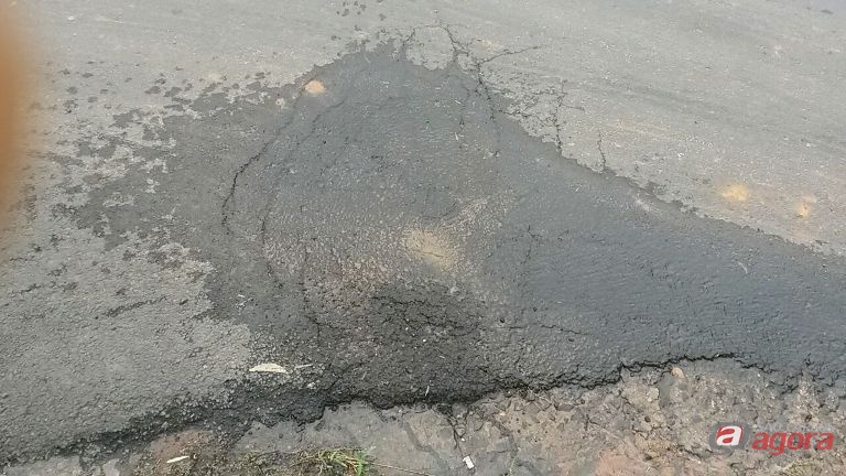Foto: Divulgação -