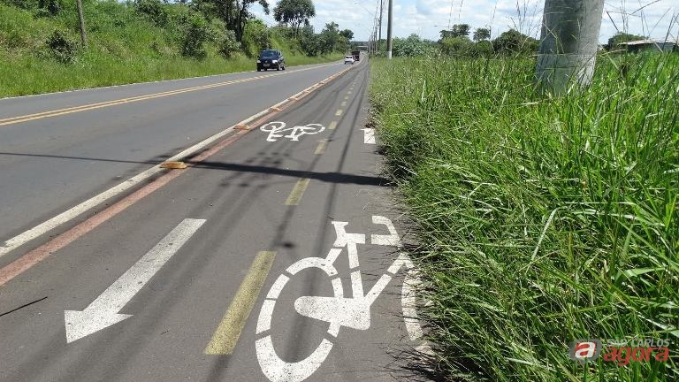 Foto: Divulgação -