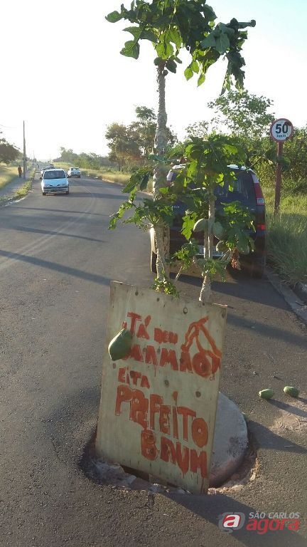 Foto: Divulgação -