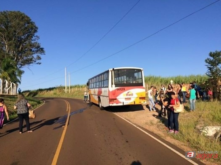 Foto: Divulgação -