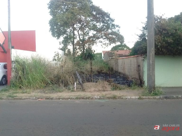 Foto: Divulgação -