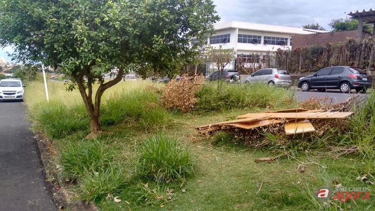 Foto: Divulgação -