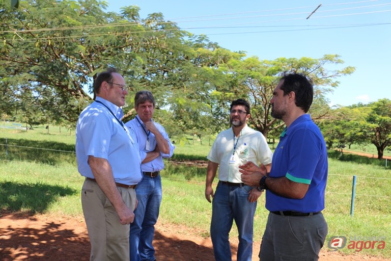 Foto: Divulgação -