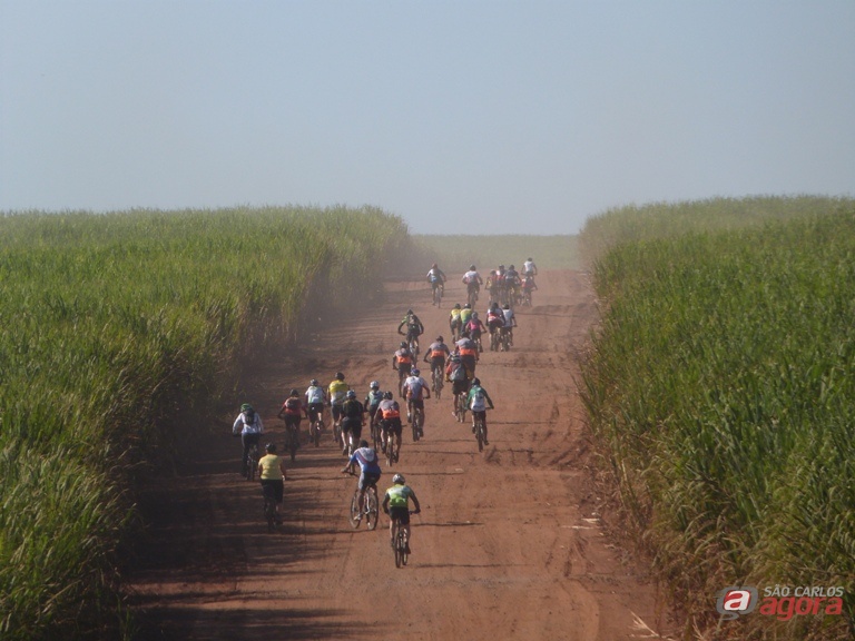 Foto: Divulgação -