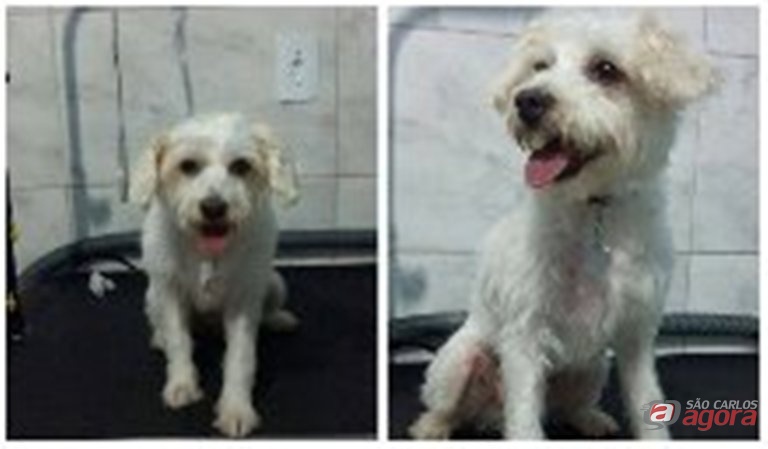 Foto: Divulgação -