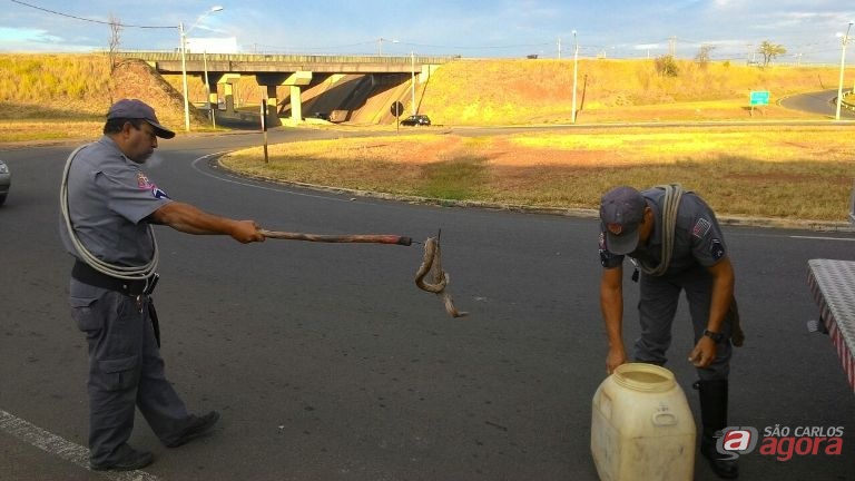 Foto: Divulgação -