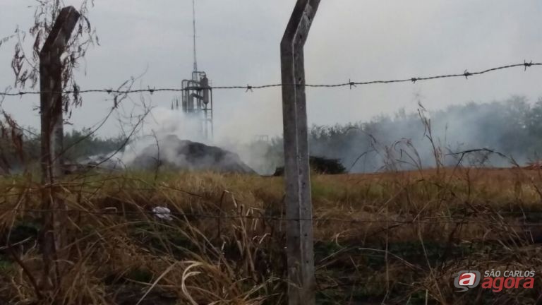 Foto: Divulgação -