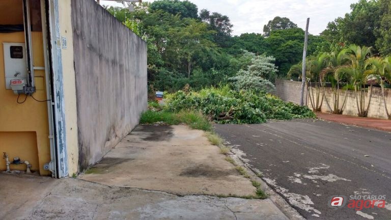 Foto: Divulgação -