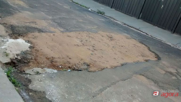 Foto: Divulgação -
