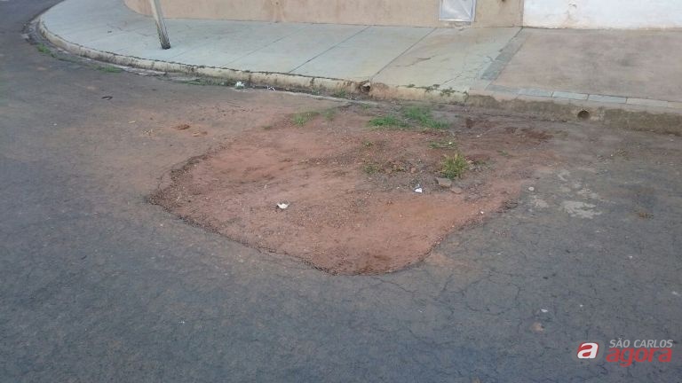 Foto: Divulgação -