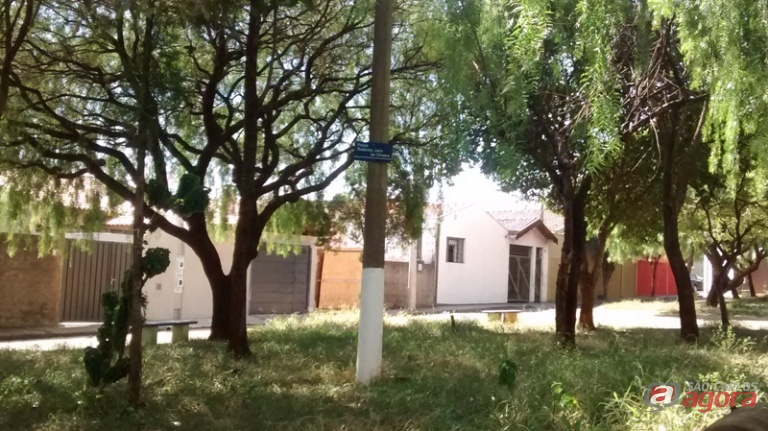 Foto: Divulgação -