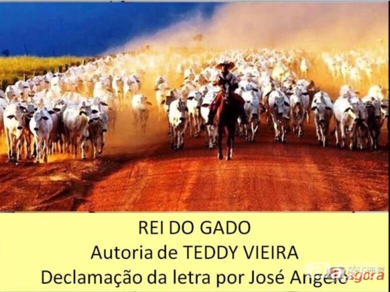 Foto: Divulgação - 