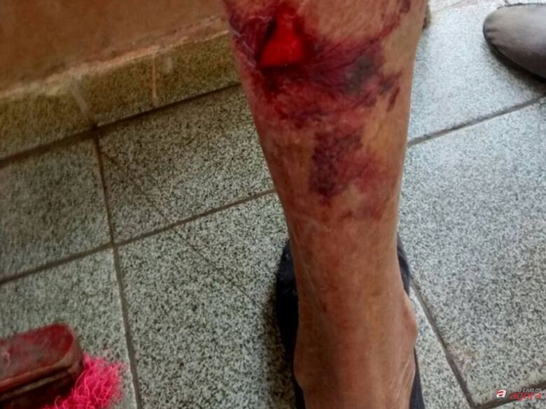 Foto: GCM Rio Claro/Divulgação -
