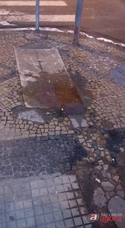 Foto: Divulgação -