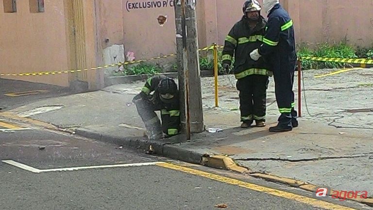 Foto: Milton Rogério -