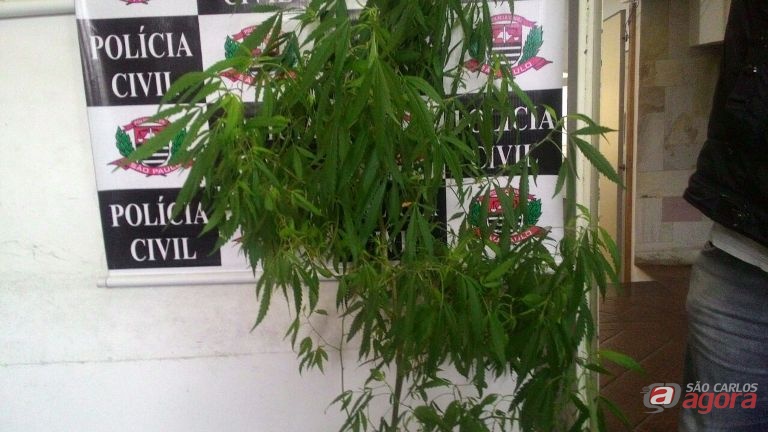 Foto: Milton Rogério -