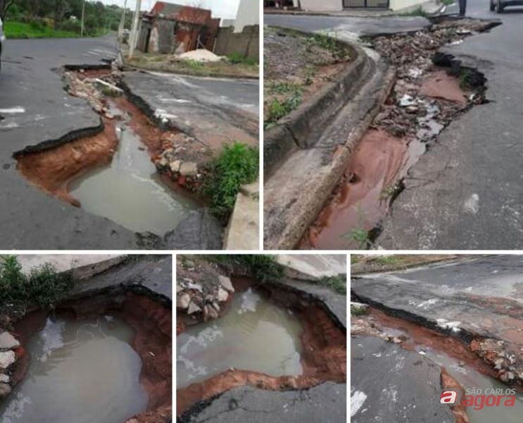 Foto: Divulgação -
