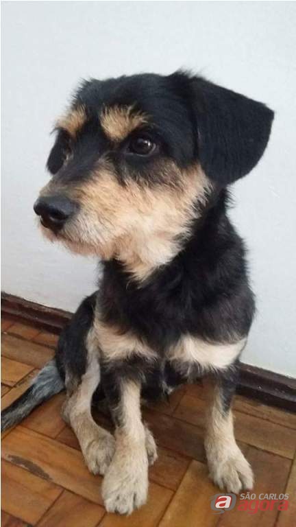 Foto: Divulgação -