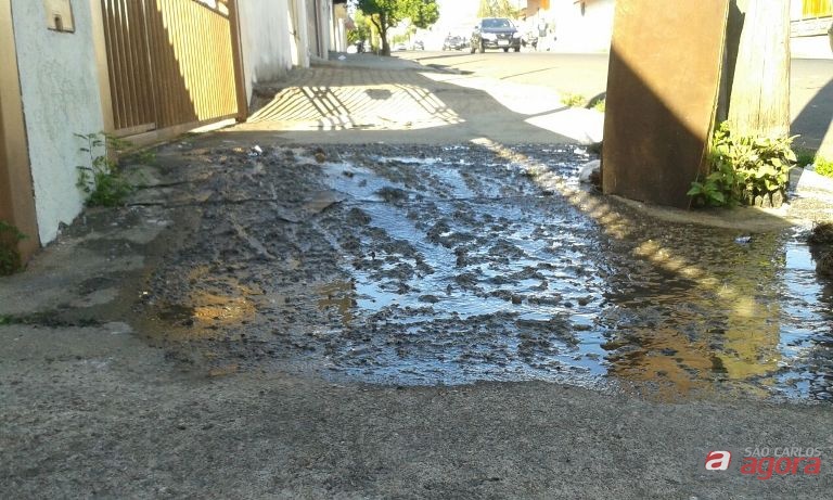 Foto: Divulgação -