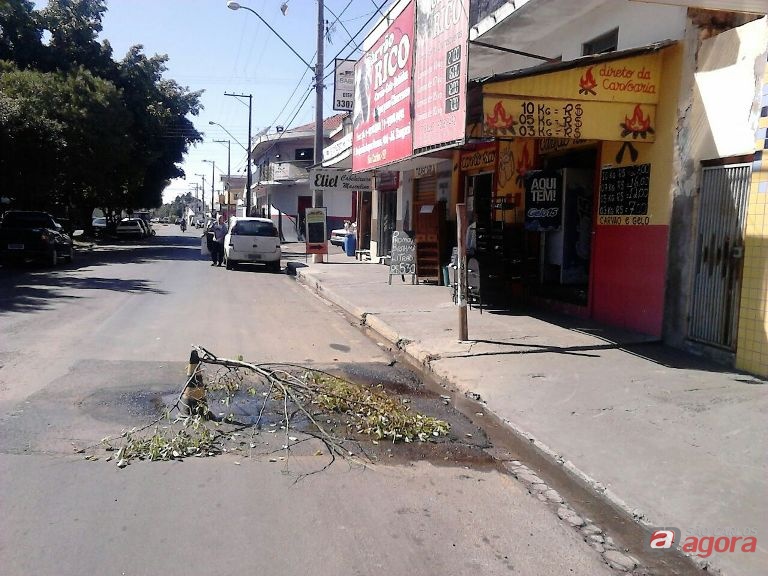 Foto: Divulgação -