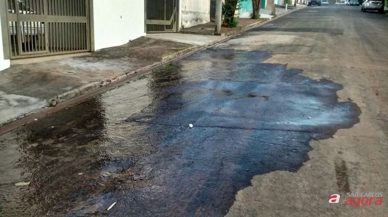 Foto: Divulgação -