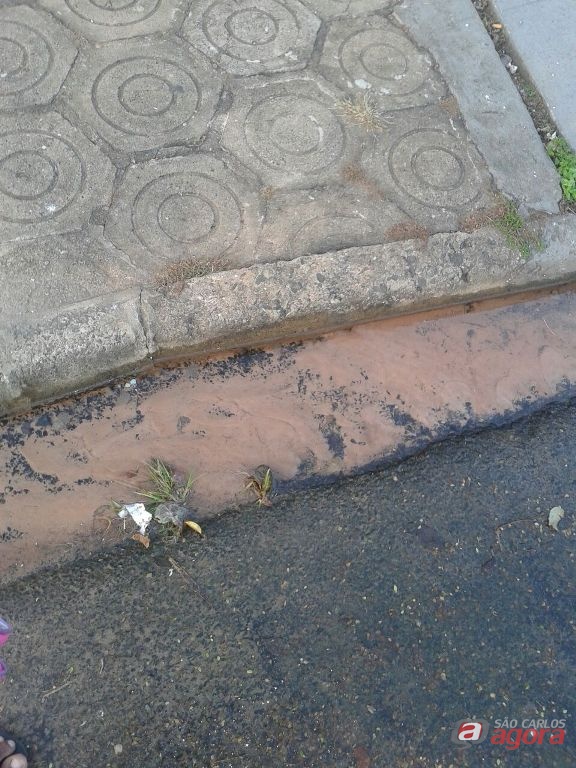 Foto: Divulgação -