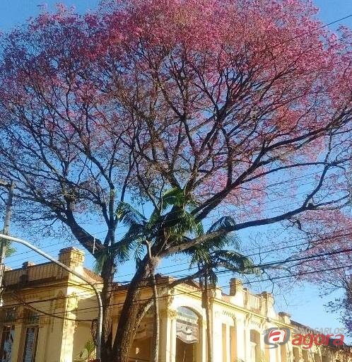 Foto: Divulgação -