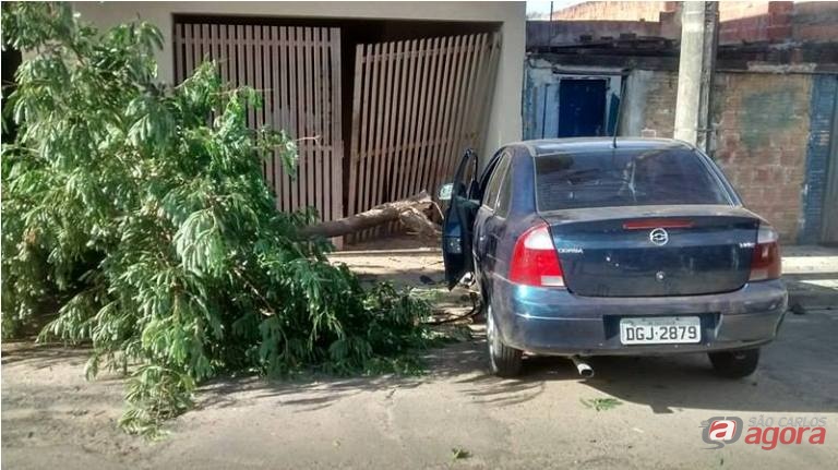 Foto: Milton Rogério -