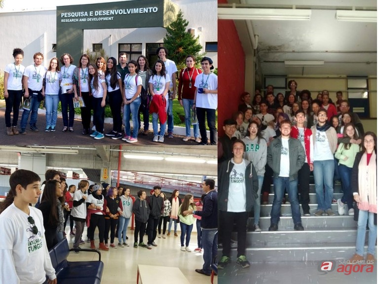 Foto: Divulgação -