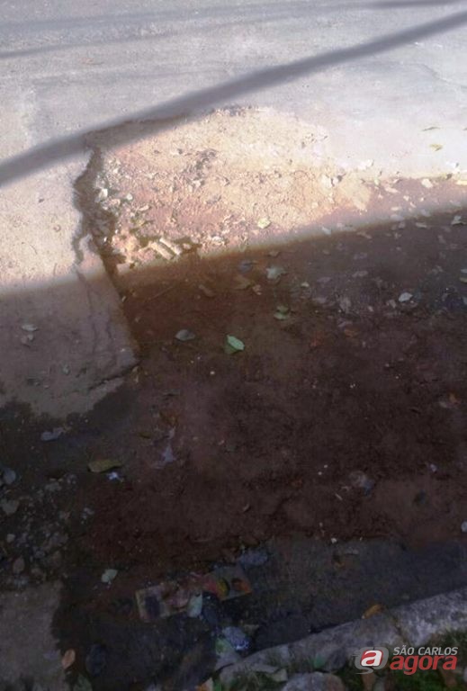 Foto: Divulgação -
