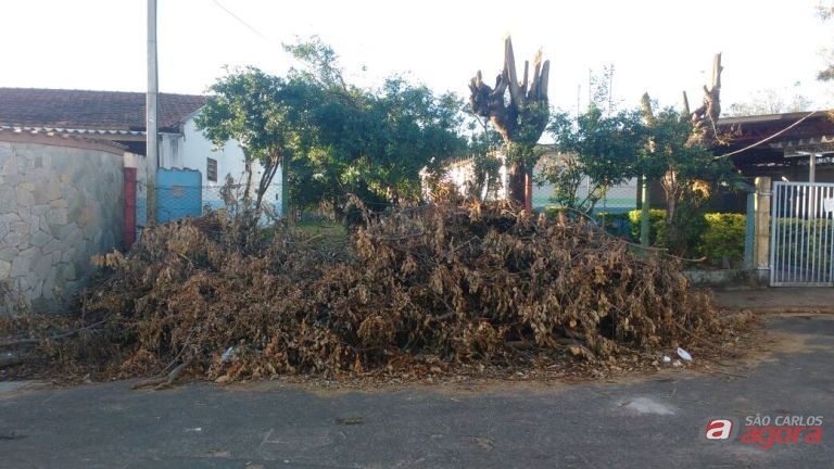 Foto: Divulgação -