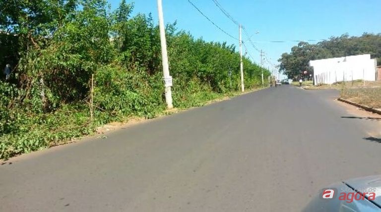 Foto: Divulgação -