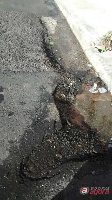 Foto: Divulgação -