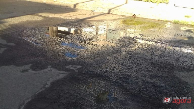 Foto: Divulgação -