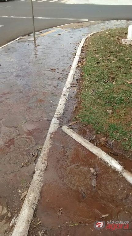 Foto: Divulgação -