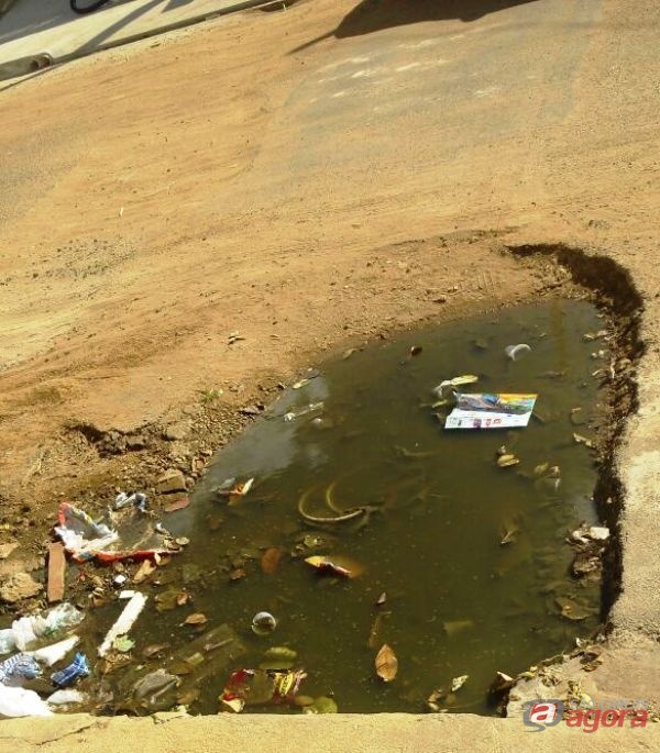 Foto: Divulgação -
