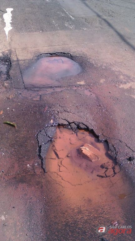 Foto: Divulgação -