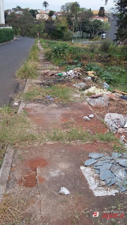 Foto: Divulgação -