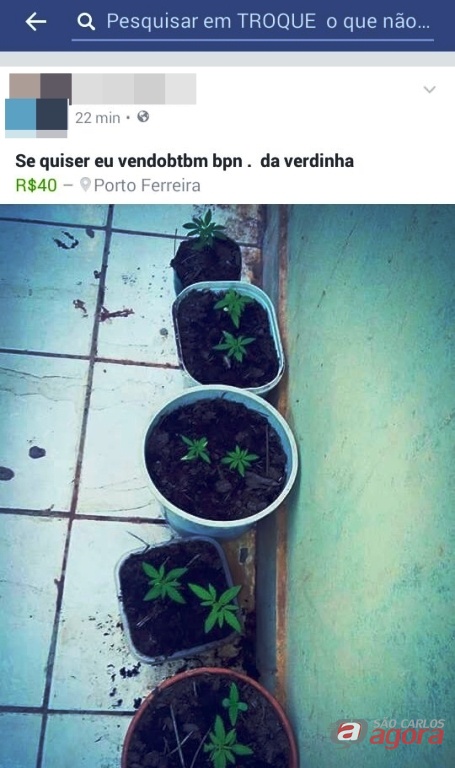 Foto: Divulgação -