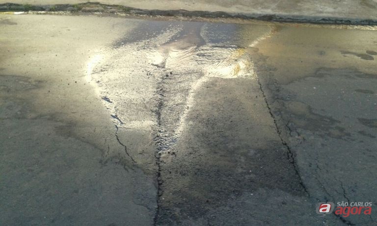 Foto: Divulgação -