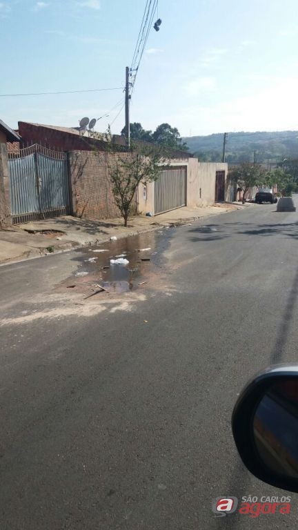 Foto: Divulgação -