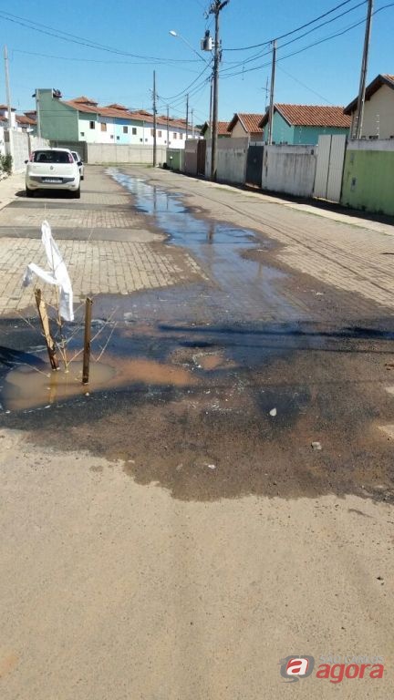 Foto: Divulgação -