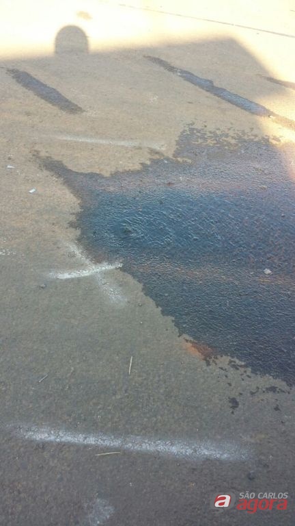 Foto: Divulgação -