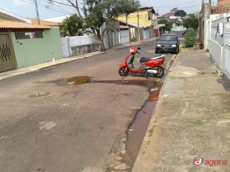 Foto: Divulgação -