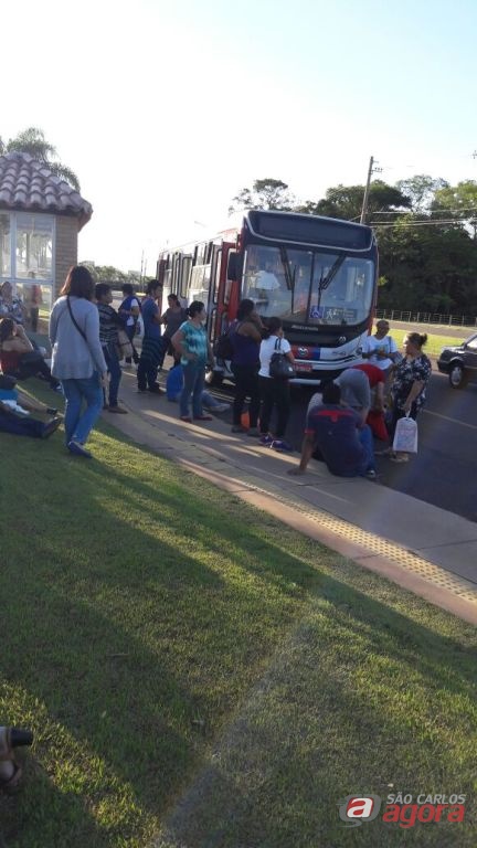 Foto: Divulgação -