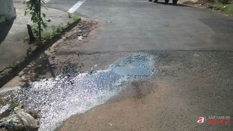 Foto: Divulgação -
