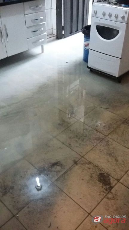 Foto: Divulgação -