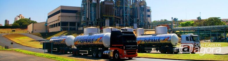 Foto: Divulgação - 