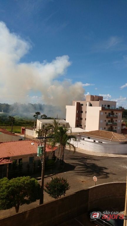 Foto: Divulgação -