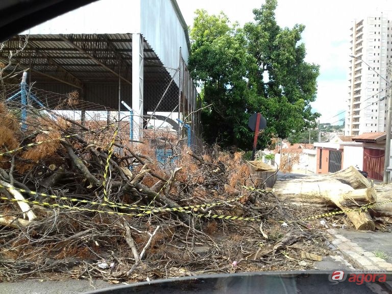 Foto: Divulgação -
